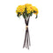 Melrose Yellow Berry Bundle (Set of 2)