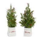Melrose Mini Pine Tree with Berries in Ceramic Pot (Set of 2)