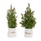 Melrose Mini Pine Tree with Berries in Ceramic Pot (Set of 2)