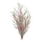 Melrose Leptospermum Flower Bundle (Set of 6)