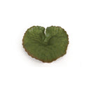 Melrose Assorted Bag of Leaves Filler (Set of 12)