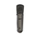 Warm Audio WA-87 R2 TS Stereo Pair Condenser Microphones Titanium-Style Finish