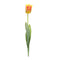 Melrose Tulip Floral Stem (Set of 6)