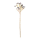Melrose Blue Berry Spray (Set of 6)