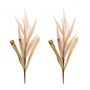 Melrose Foxtail Plume Stem (Set of 2)
