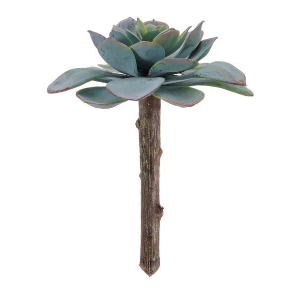 Melrose Succulent Plant Pick (Set of 12)