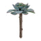 Melrose Succulent Plant Pick (Set of 12)