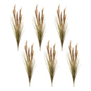 Melrose Foxtail Grass Bush (Set of 6)