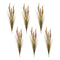 Melrose Foxtail Grass Bush (Set of 6)
