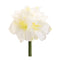 Melrose Amaryllis Elegance – Set of 6