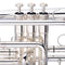 Stagg Bb Cornet Brass Body with Monel Valves - LV-CR5201 - New Open Box