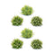 Melrose Varigated Mini Leaf Half Orb (Set of 6)