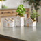Melrose Neutral Porcelain House Planter Set of 3 Planter, House & Barn