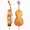 GEWA Walther 11 “Berlin Antique” Concert Cello 4/4 – Designed by Marko Ackert
