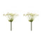 Melrose Queen Anne's Lace Stem (Set of 2)