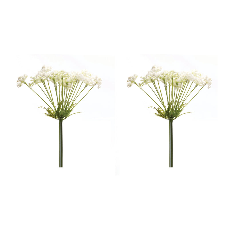 Melrose Queen Anne's Lace Stem (Set of 2)