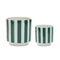 Melrose Green and White Striped Planter Set of 2 Planter, Dolomite