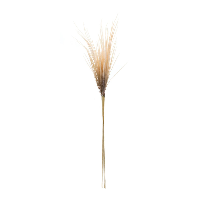 Melrose Grass Plume Bundle (Set of 2)