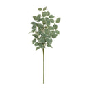 Melrose Variegated Foliage Spray (Set of 2)