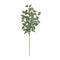 Melrose Variegated Foliage Spray (Set of 2)