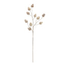 Melrose Champagne Pinecone Spray (Set of 6)