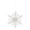 Frosted Snowflake Ornament (Set of 12)