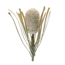 Melrose Protea Floral Stem (Set of 2)