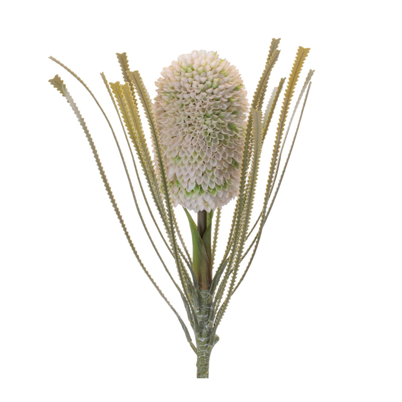 Melrose Protea Floral Stem (Set of 2)