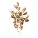 Melrose Silver Dollar Spray (Set of 6) 26"H