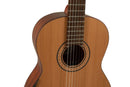 Manuel Rodriguez Tradicion T-65 4/4 Classical Guitar – Solid Cedar w/ Armrest