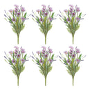 Melrose Mixed Daisy Bush (Set of 6)