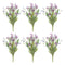 Melrose Mixed Daisy Bush (Set of 6)