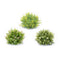 Melrose Varigated Mini Leaf Half Orb (Set of 6)