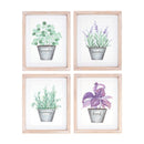 Melrose Framed Watercolor Herb Print Wall Decor