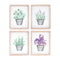 Melrose Framed Watercolor Herb Print Wall Decor