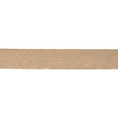 Melrose Gold Wired Ribbon (Set of 2)