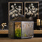 Melrose Forest Cut Metal Lantern with Gold Accent 12"H Rustic Black  Gold