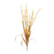 Melrose Mixed Fall Grass Spray (Set of 6)