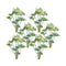 Melrose Varigated Caladium Foliage Bush (Set of 6)