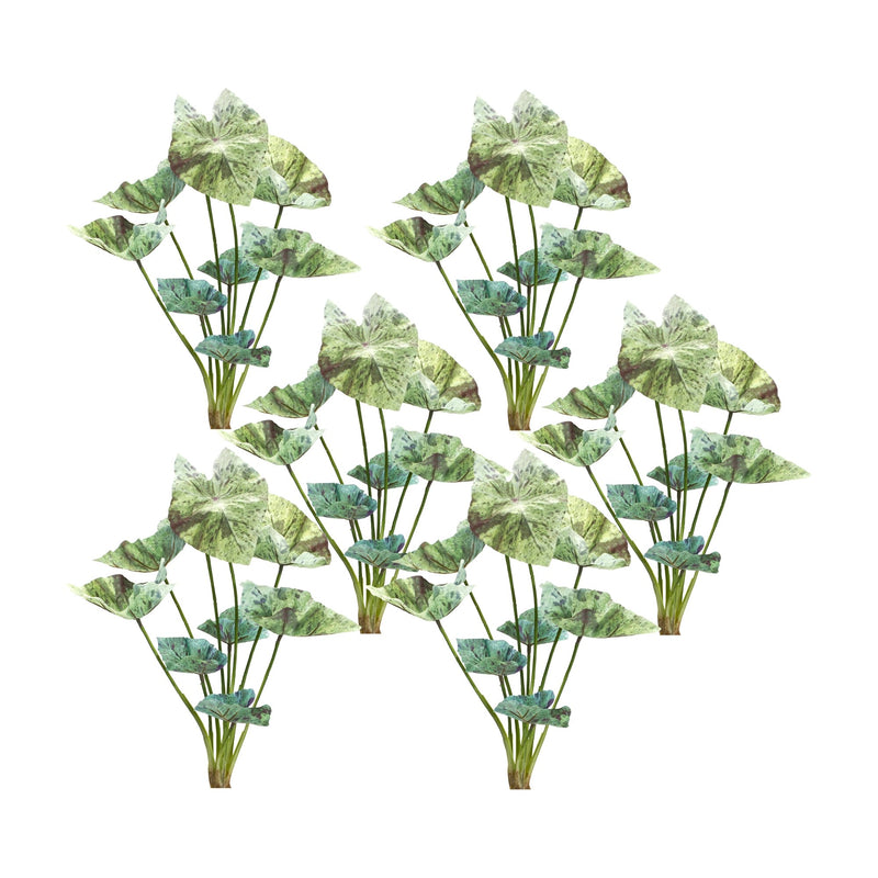Melrose Varigated Caladium Foliage Bush (Set of 6)