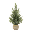 Melrose Potted Mini Pine Tree (Set of 2)
