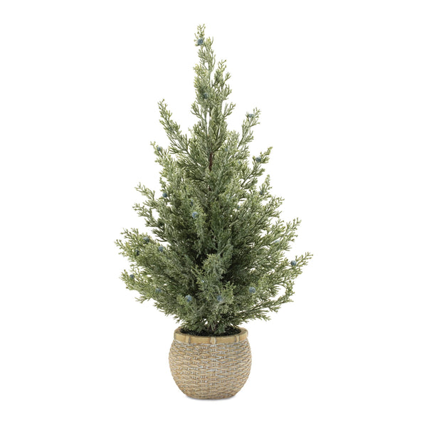 Melrose Potted Mini Pine Tree (Set of 2)