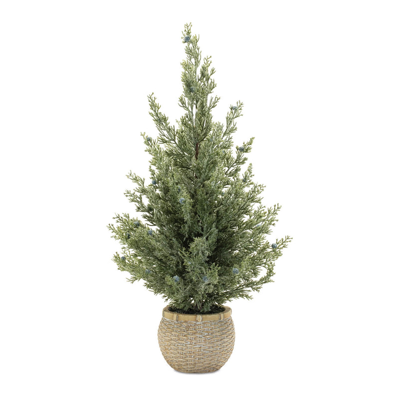 Melrose Potted Mini Pine Tree (Set of 2)