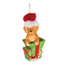 Melrose Puppy in Package Ornament (Set of 6)