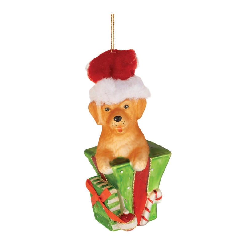 Melrose Puppy in Package Ornament (Set of 6)