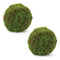 Melrose Faux Moss Orb (Set of 2)