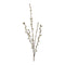 Melrose Pussy Willow Twig Spray (Set of 6)