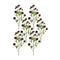 Melrose Brown Allium Floral Spray (Set of 6)