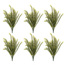 Melrose Baby Tears Foliage Bush (Set of 6)