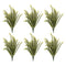 Melrose Baby Tears Foliage Bush (Set of 6)